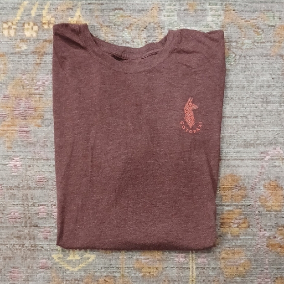 cotopaxi Other - Cotopaxi Llama Lover Tee